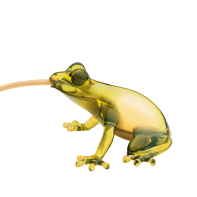 qeeboo-hungry-frog-design-stefano-giovannoni-piero-fasanotto-michele-branca-topaz-02c